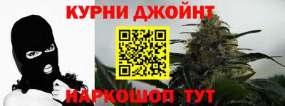 индика Краснознаменск