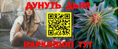 индика Краснознаменск