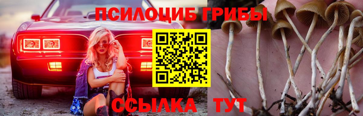 Псилоцибиновые грибы Magic Shrooms Когалым