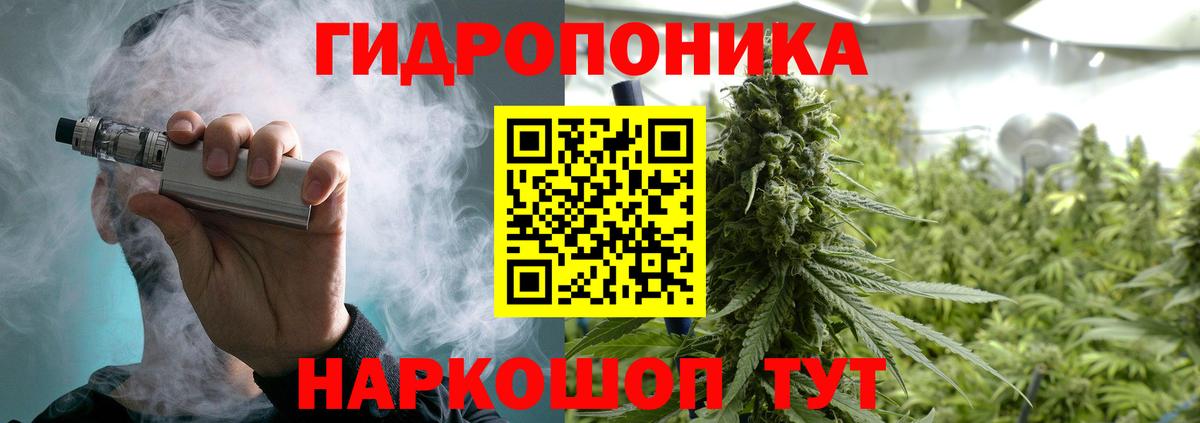 Бошки Шишки семена  Вход с VPN  Когалым  Шишки марихуана семена  Бошки марихуана SATIVA & INDICA 