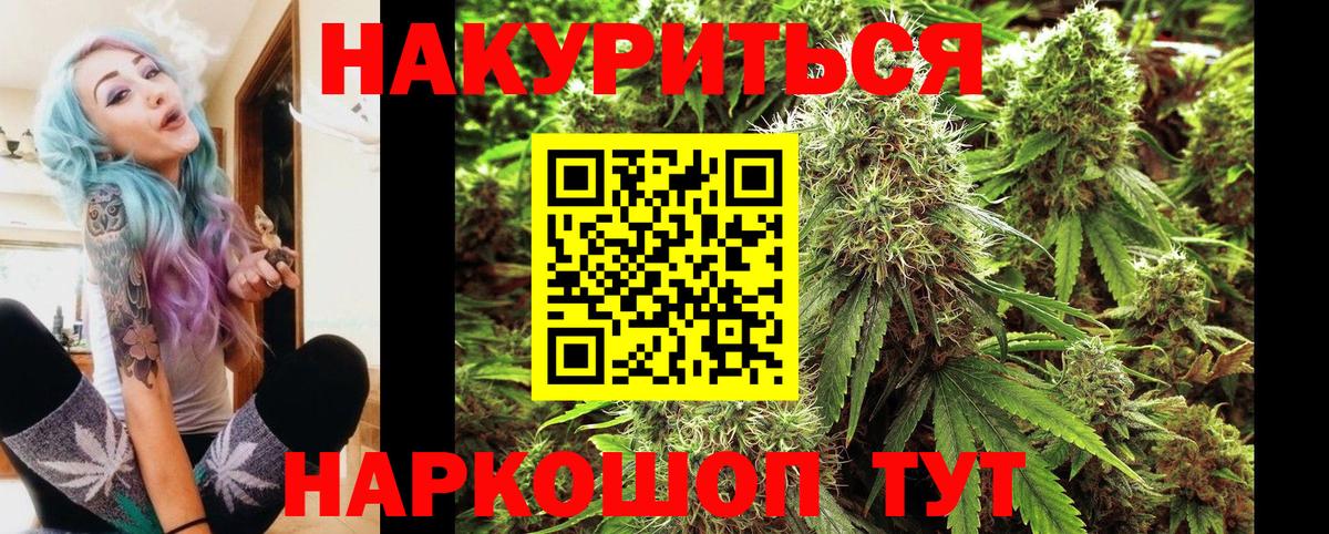 Конопля план Когалым
